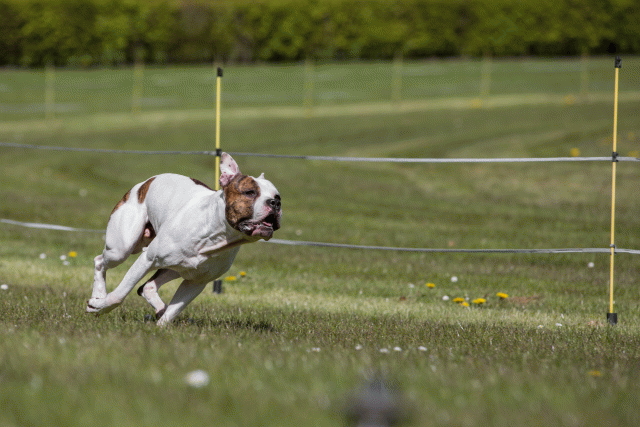 3Y3A7400 26733173231 O