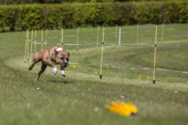 3Y3A7405 26733172541 O