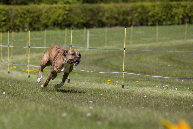 3Y3A7406 26194984864 O