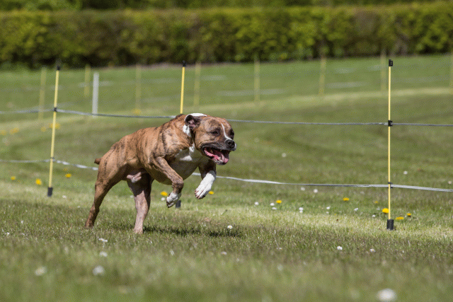 3Y3A7407 26196311543 O