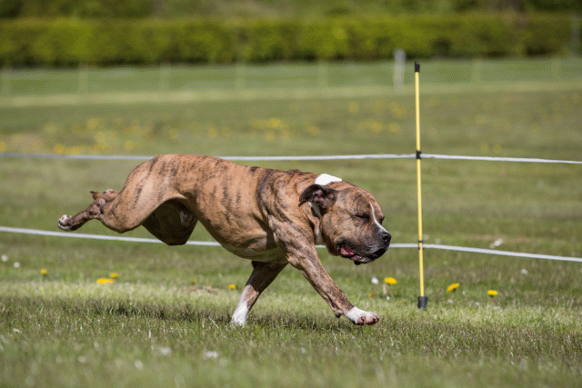 3Y3A7410 26194983634 O