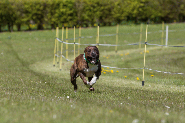 3Y3A7415 26733170801 O