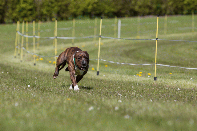 3Y3A7416 26194982914 O