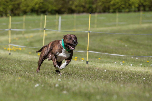 3Y3A7417 26733170331 O