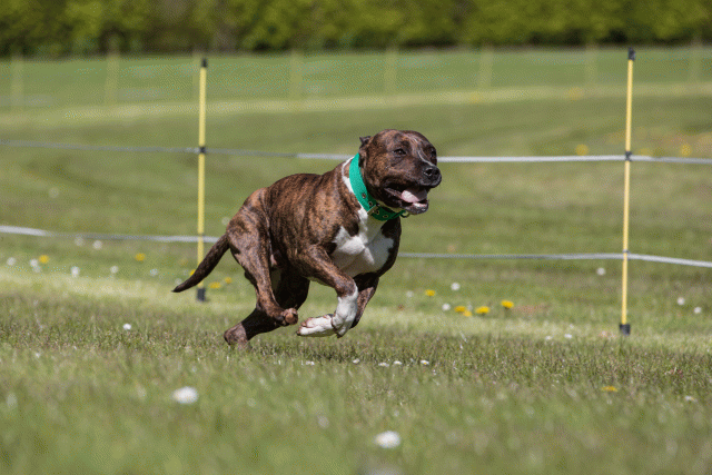 3Y3A7419 26194982284 O