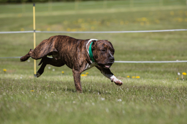 3Y3A7420 26799836775 O