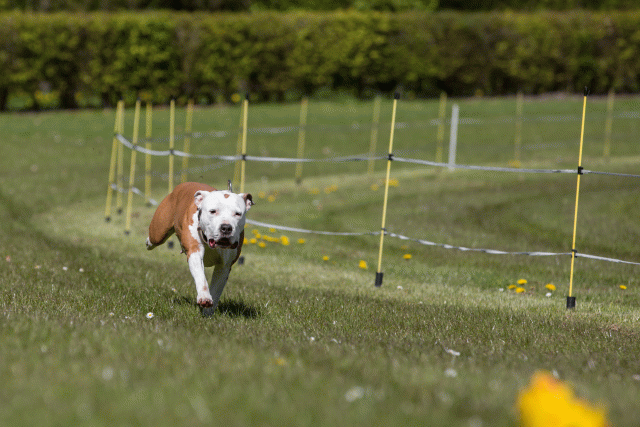 3Y3A7425 26733169161 O