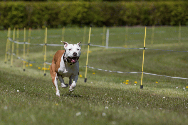 3Y3A7426 26194980714 O