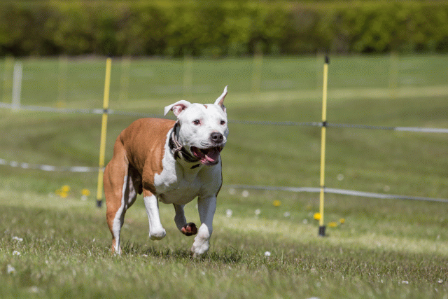 3Y3A7428 26194980024 O