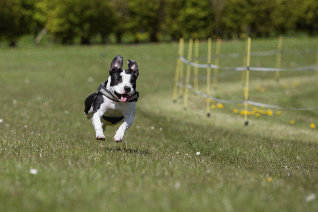 3Y3A7434 26527883030 O