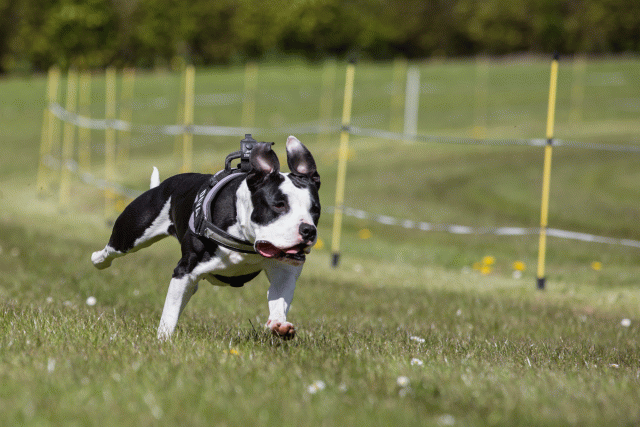 3Y3A7436 26706906892 O