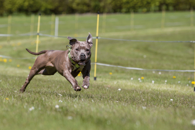 3Y3A7444 26194978354 O