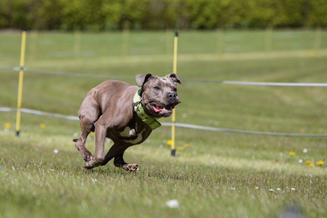 3Y3A7445 26775530456 O