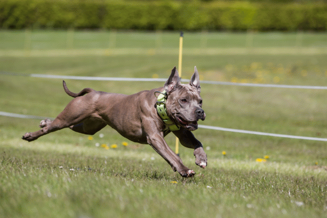 3Y3A7446 26196338843 O