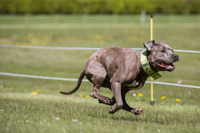 3Y3A7447 26527926460 O