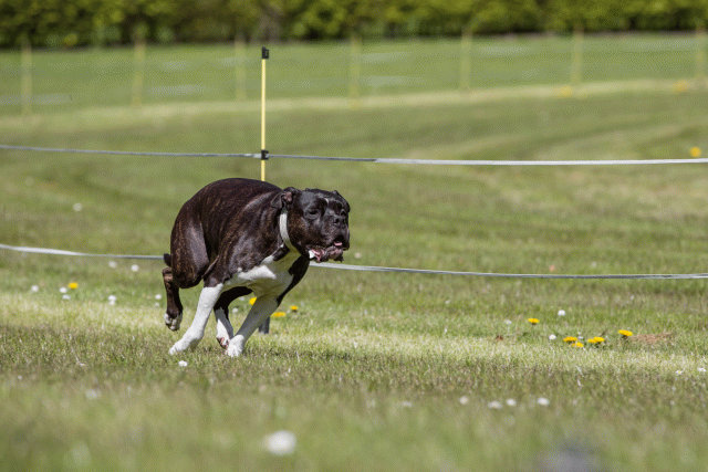 3Y3A7454 26799834015 O