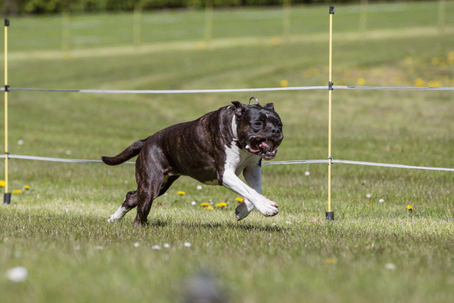 3Y3A7455 26527925880 O