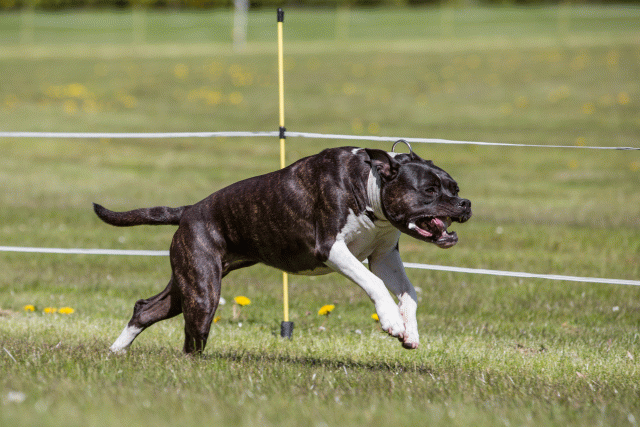 3Y3A7457 26196337763 O