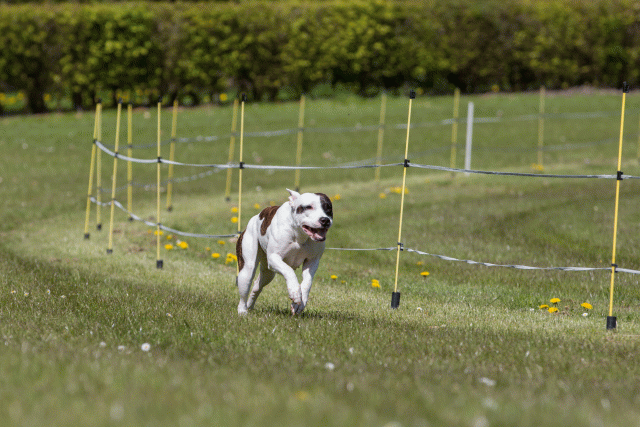 3Y3A7460 26775549596 O