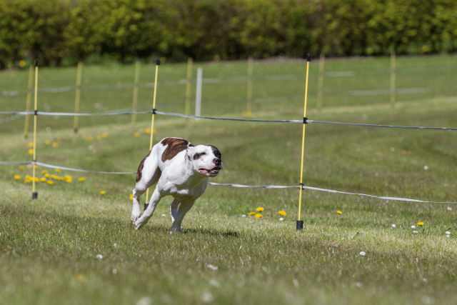 3Y3A7461 26196295653 O