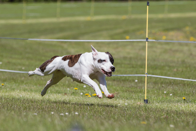 3Y3A7464 26528061360 O