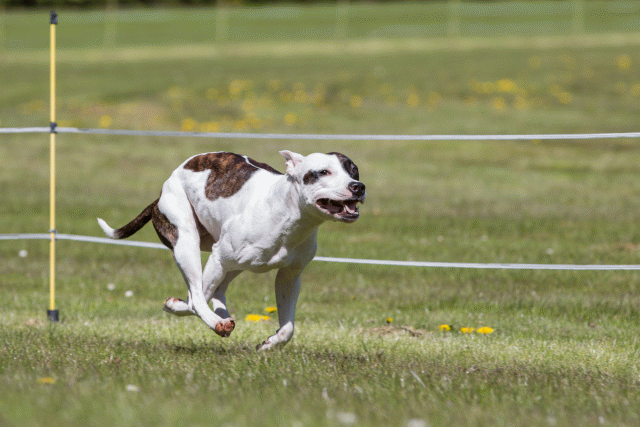 3Y3A7465 26775680826 O