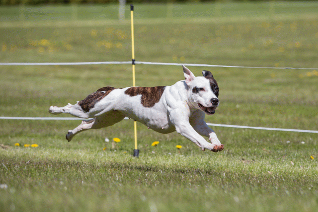 3Y3A7466 26706985282 O