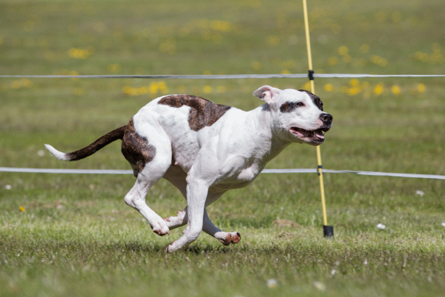 3Y3A7467 26528060430 O