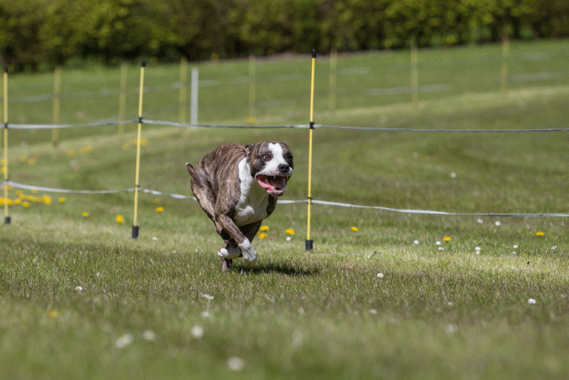 3Y3A7473 26799990225 O