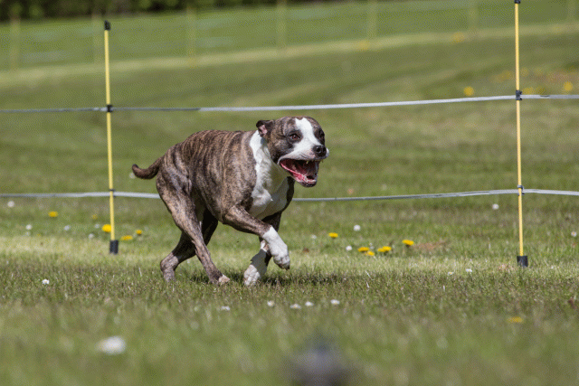 3Y3A7475 26775678986 O