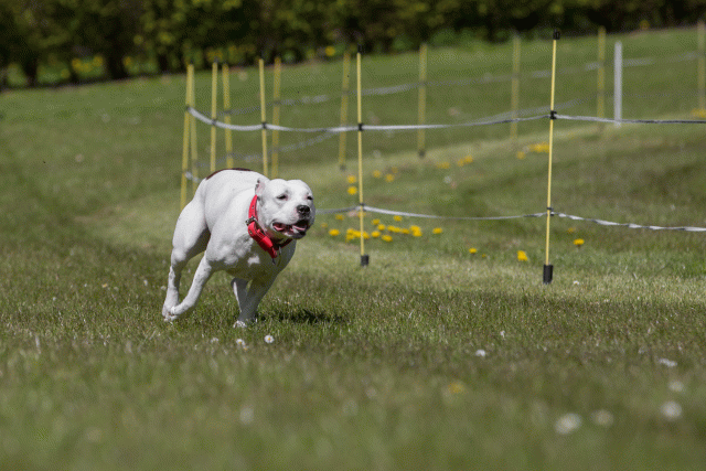 3Y3A7481 26528058330 O