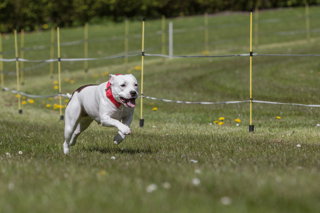 3Y3A7482 26733257361 O