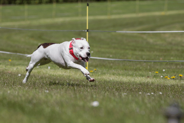 3Y3A7484 26528057450 O