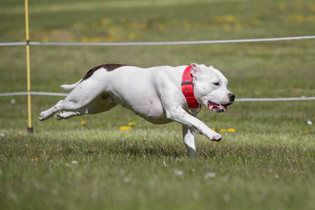 3Y3A7486 26775677266 O