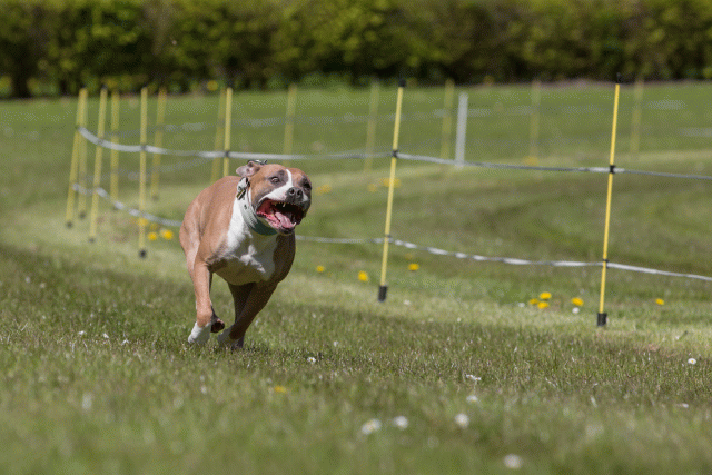 3Y3A7493 26799988655 O