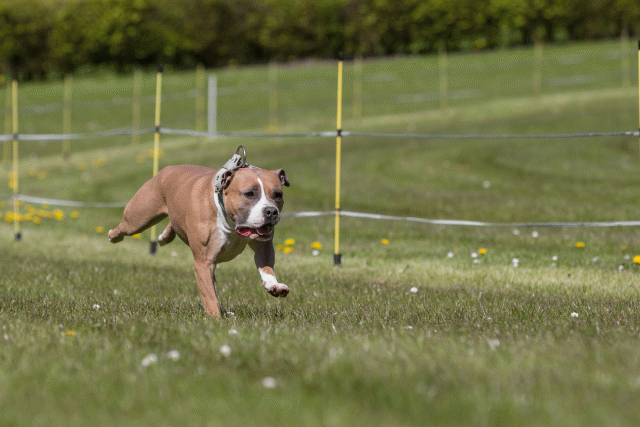 3Y3A7494 26528055860 O