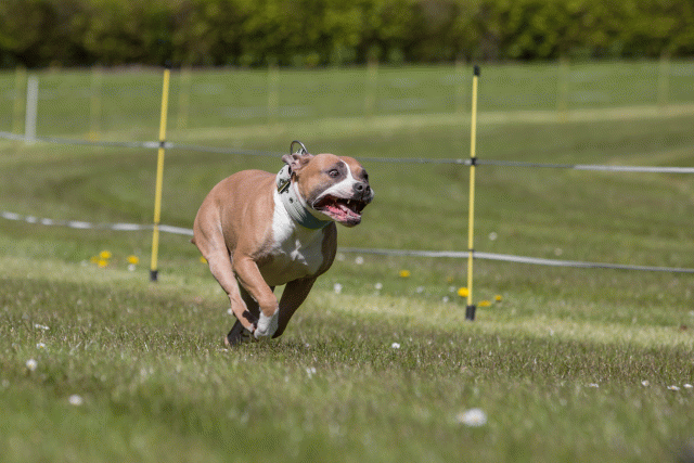 3Y3A7495 26799988385 O