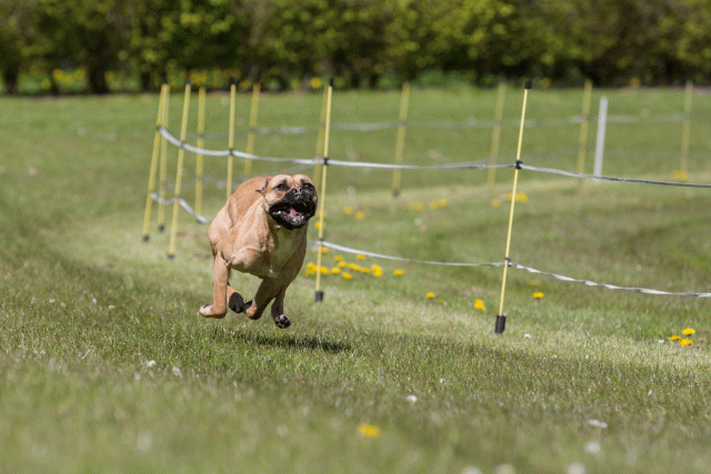 3Y3A7501 26799988085 O