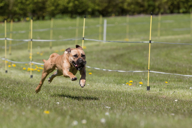 3Y3A7502 26775674576 O