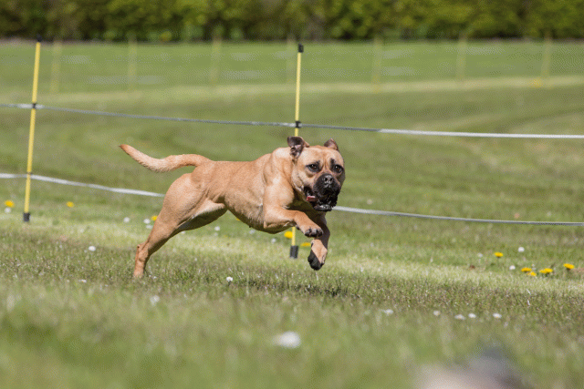 3Y3A7504 26799987655 O