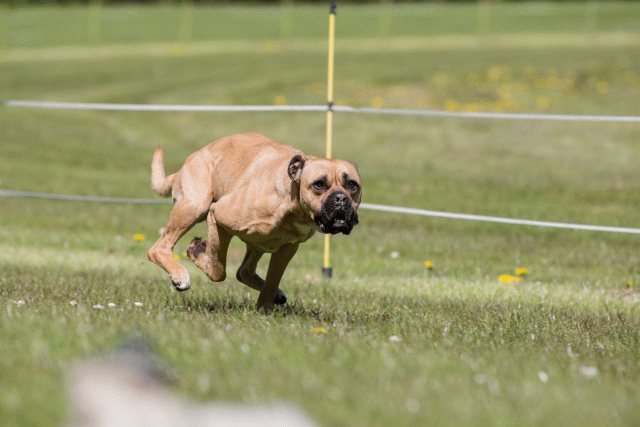 3Y3A7505 26775673836 O