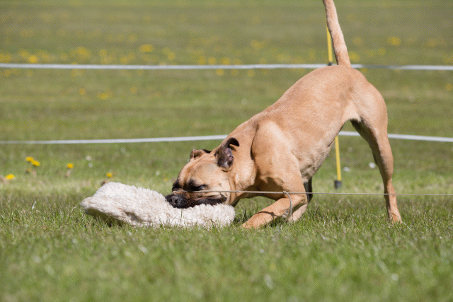 3Y3A7538 26799986885 O