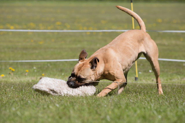 3Y3A7539 26733325451 O