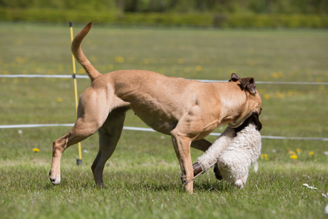 3Y3A7540 26706984482 O