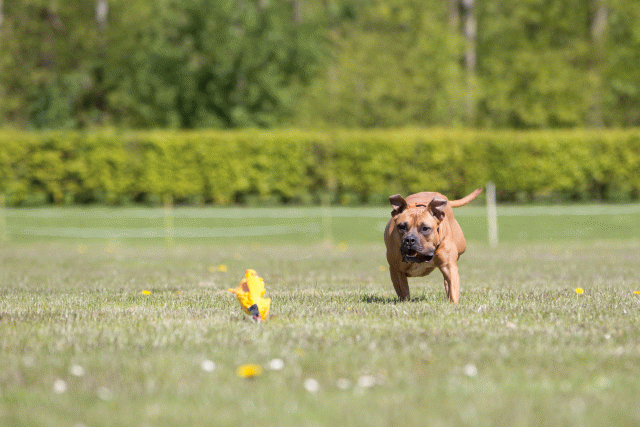 3Y3A7542 26799986385 O