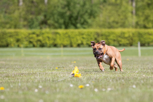 3Y3A7543 26775671326 O