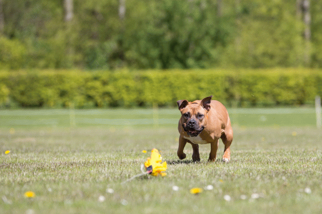 3Y3A7544 26733324921 O