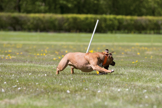 3Y3A7547 26799985725 O