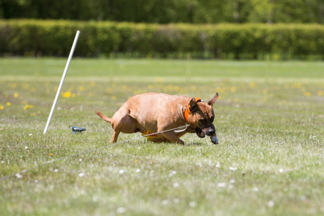 3Y3A7548 26733324601 O