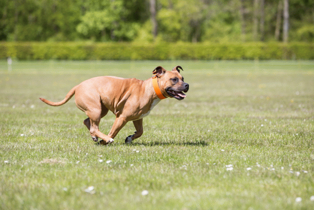 3Y3A7553 26799985425 O